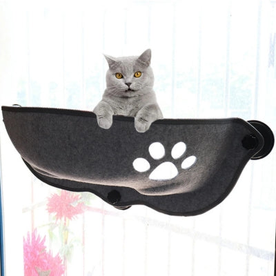 chaton observant dans hamac chat suspendu