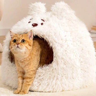 chaton observant dans sa niche pour chaton