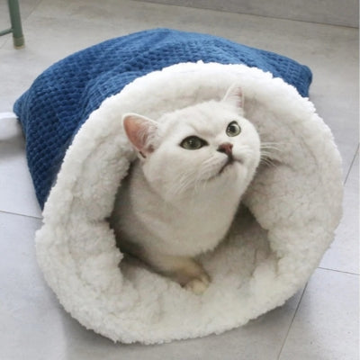 chaton observant dans nid chaton bleu marine