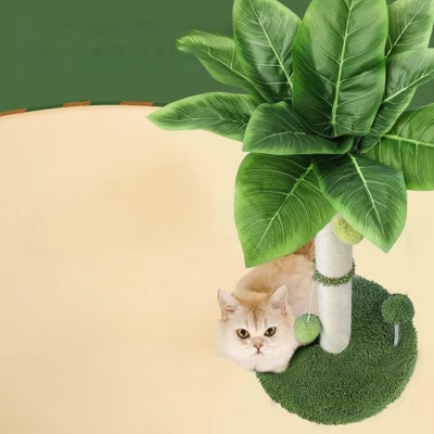 chaton observant en dessous griffoir