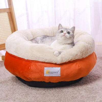 chaton observant son territoire coussin chaton