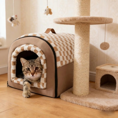 chaton observe dans maison pour chaton