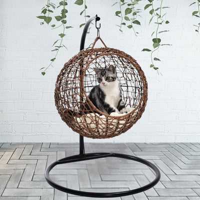 chaton observe depuis son panier pour chat osier