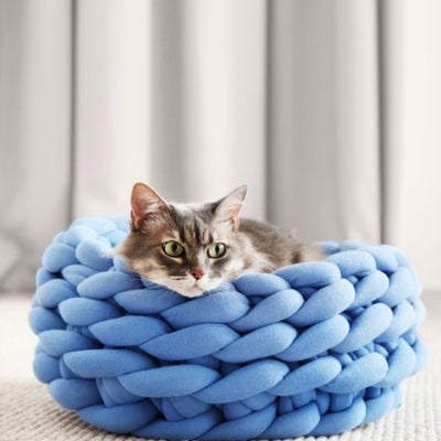 chaton panier bleu ciel chaton appuyant sa tête sur rebord