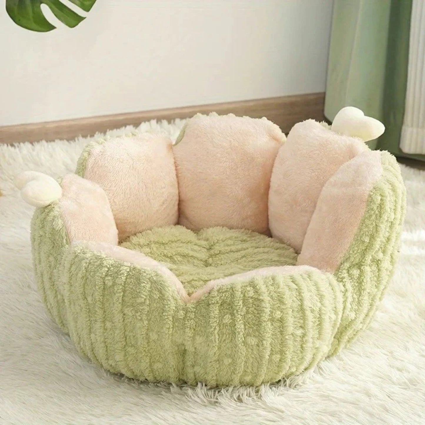 chaton panier cactinid vert cactus sur tapis