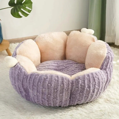 chaton panier cactinid violet lavande sur tapis