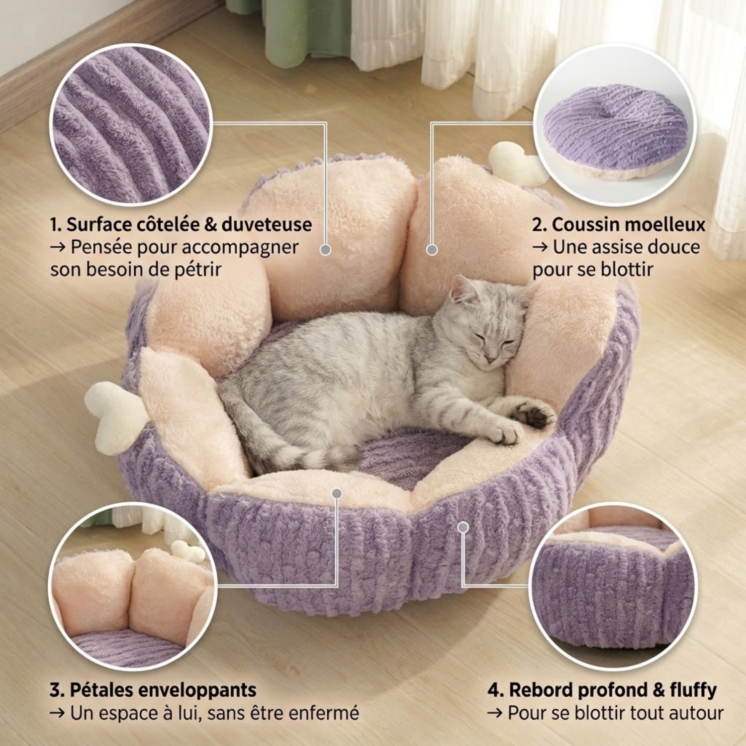 chaton panier cactus zooms matière pétales coussin