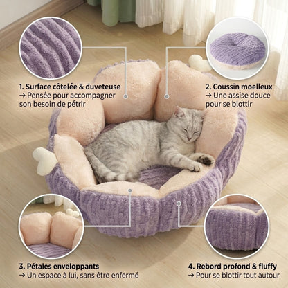 chaton panier cactus zooms matière pétales coussin