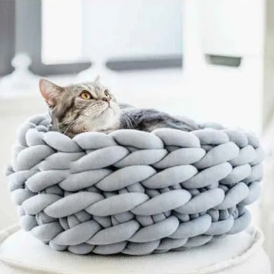 chaton panier gris chaton relaxant dedans