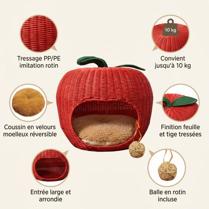 chaton panier pomme tressage coussin velours balle rotin incluse