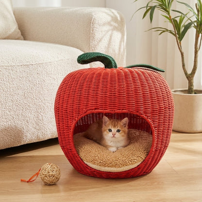 chaton panier pomme avec chaton installé au salon lifestyle