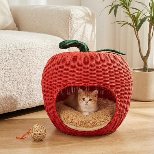 chaton panier pomme avec chaton installé au salon lifestyle