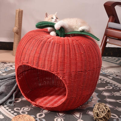 chaton panier posé sur carrelage chaton s'agrippant à son toit