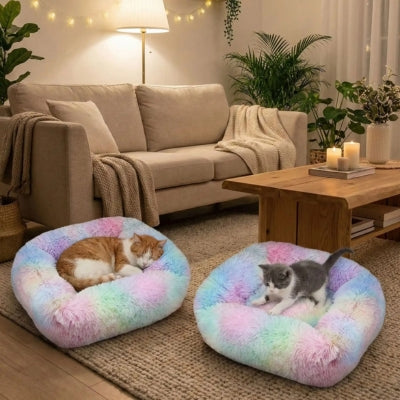 chaton patounant coussin chaton chat dort dans deuxième coussin
