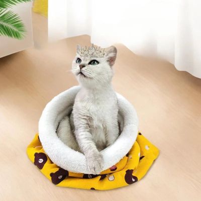 chaton portant courrone dans nid chaton jaune nounours