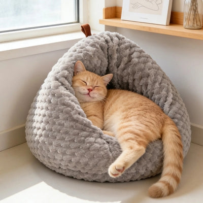 chaton profondement endormi dans nid chaton gris perle