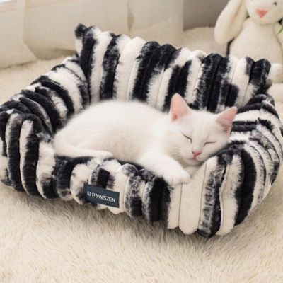 chaton profondement endormi dans panier chatons zère chic