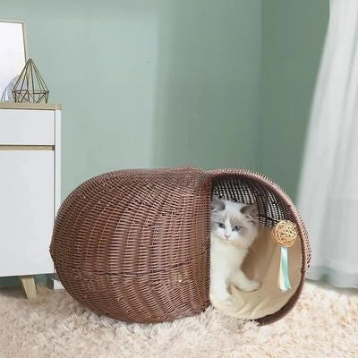 chaton ragdoll lové dans panier chat en osier
