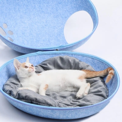chaton relaxant dans cocon pour chat bleu ciel