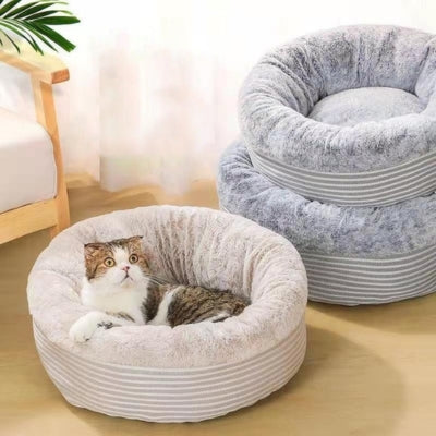 chaton relaxant dans coussin pour chaton beige