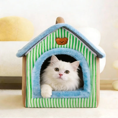 chaton relaxant dans maison chaton