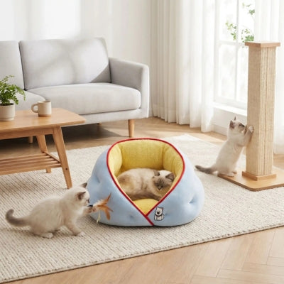 chaton relaxant dans niche chat hiver chatons jouent autour