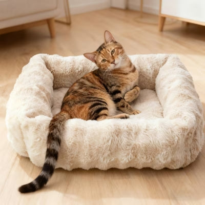 chaton relaxant dans son coussin chaton