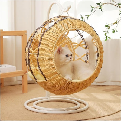 chaton relaxant dans son panier chatons