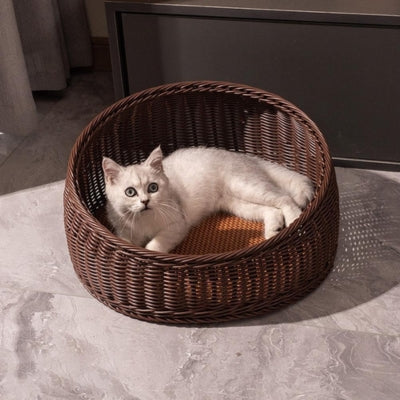 chaton relaxant panier en rotin pour chat marron glacé