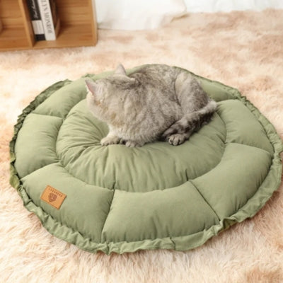 chaton relaxant sur couffin chaton forme lit