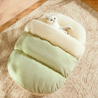 chaton relaxe nid chaton vert amande