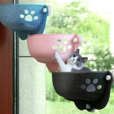 chaton s'amuse dans hamac chat suspendu