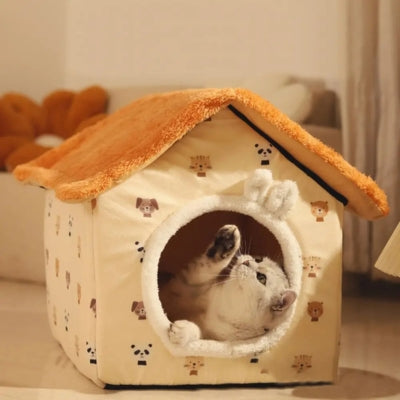 chaton s'amuse dans sa maison pour chaton