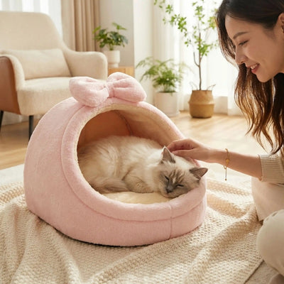 chaton s'endort dans lit pour chaton maîtresse le caresse tendrement