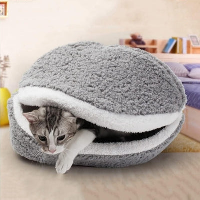 chaton se cache dans nid chaton gris perle