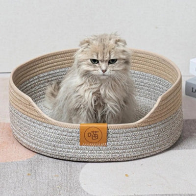 chaton se reposant dans panier chatons brume