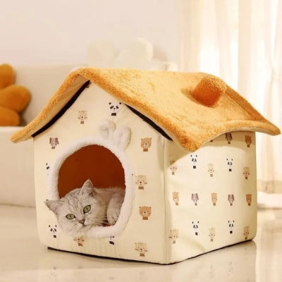 chaton se repose dans maison pour chaton caramel parade