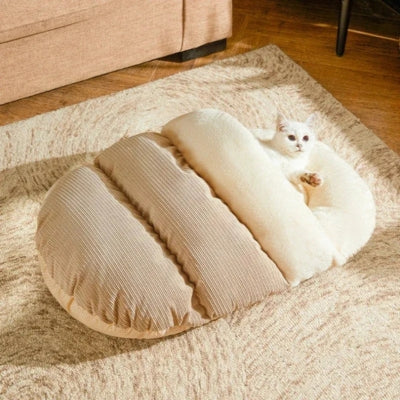 chaton se repose dans nid chaton