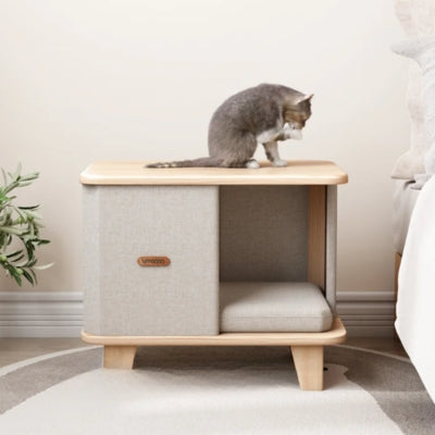 chaton se toiletant sur maison chats