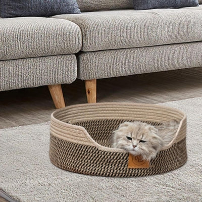 chaton somnolant dans panier chatons graphite