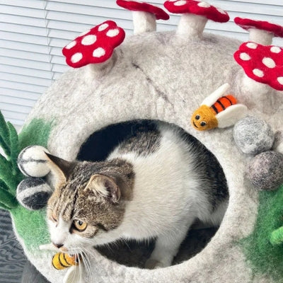 chaton sort sa tête sa niche pour chaton