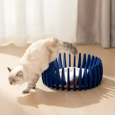 chaton sortant cocoon chat modèle lotus