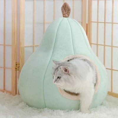 chaton sortant couffin chaton