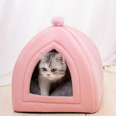 chaton sortant maison chaton rose