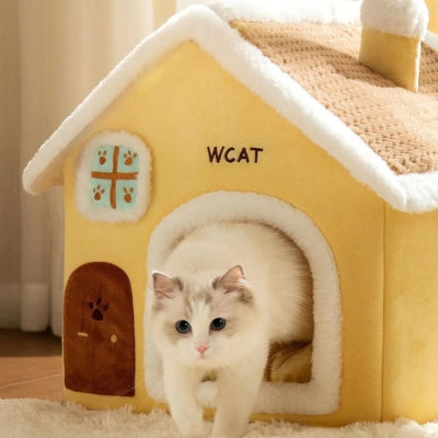 chaton sortant maison pour chaton maison soleil