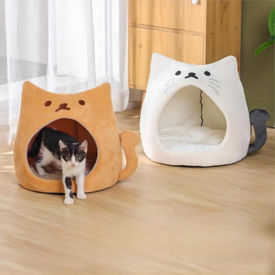 chaton sortant niche pour chaton orange