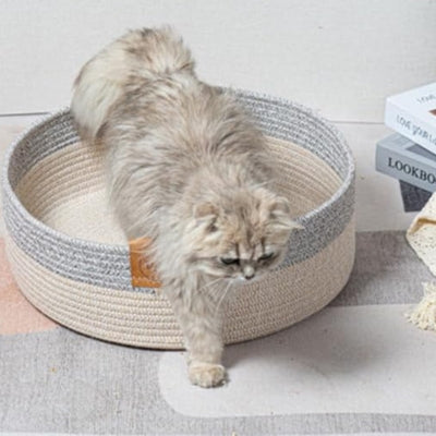 chaton sortant panier chatons