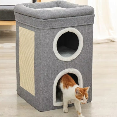 chaton sortant pourf niche chat gris