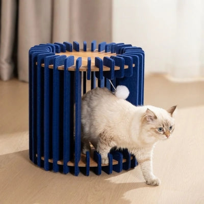 chaton sortant son cocoon chat