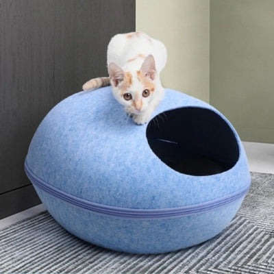 chaton sur dessus cocon pour chat bleu ciel